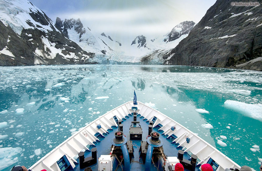 Antarctic_2021_0203_Abenteuer und Wildtiere